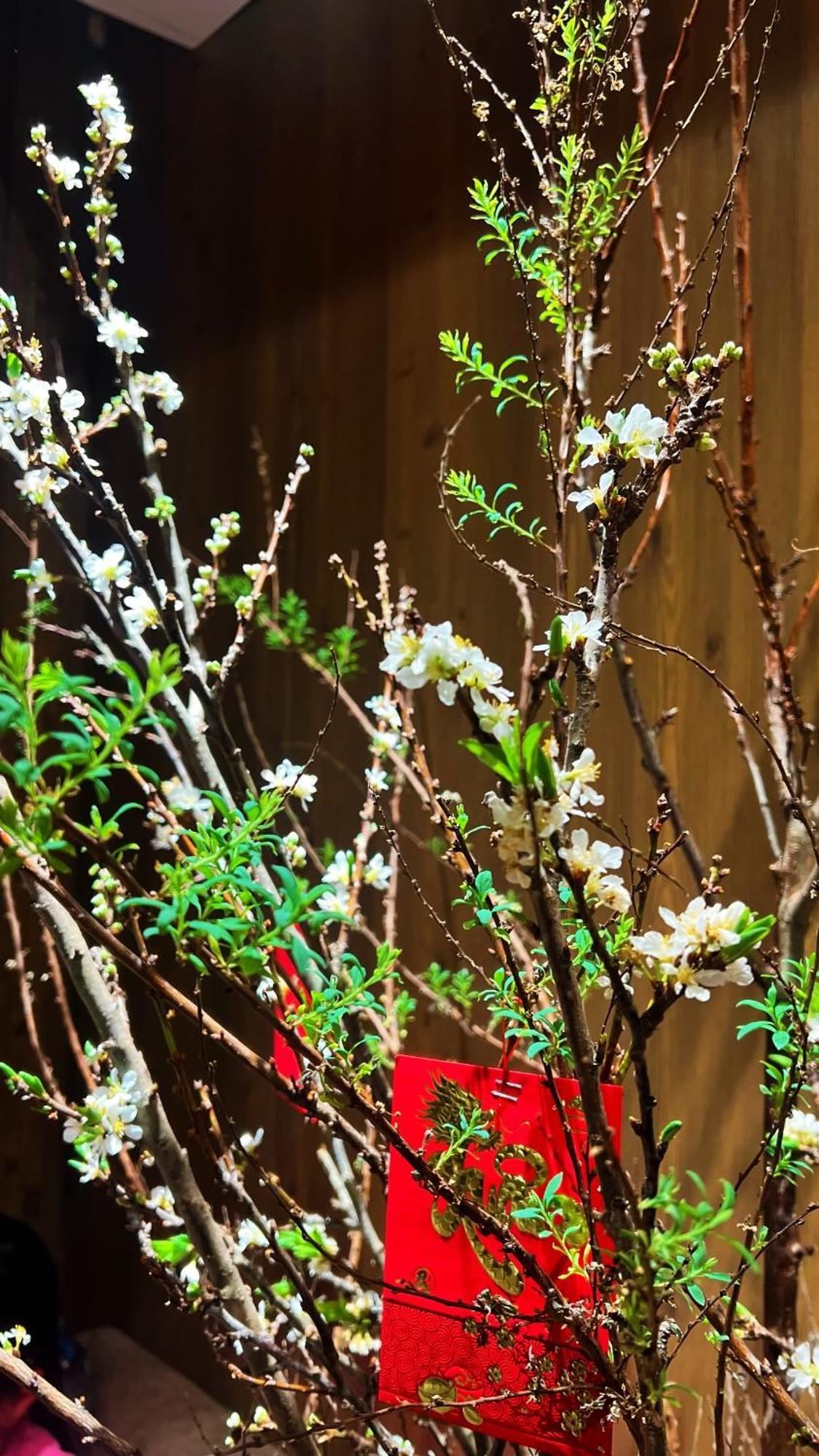 הו צ'י מין סיטי Rosa Zen Hotel Spa מראה חיצוני תמונה